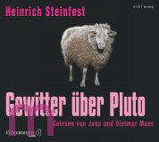 Heinrich Steinfest, Gewitter ber Pluto