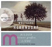 Wolfgang Herrndorf, Bilder deiner groen Liebe