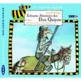 Jrg Schubiger, Seltsame Abenteuer des Don Quijote