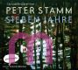 Peter Stamm, Sieben Jahre